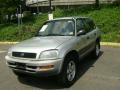 Alpine Silver Metallic - RAV4 4WD Photo No. 2