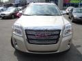 2010 Gold Mist Metallic GMC Terrain SLT AWD  photo #9