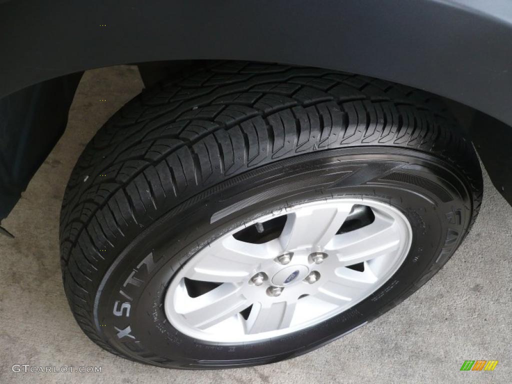 2007 Explorer XLT 4x4 - Silver Birch Metallic / Stone photo #21