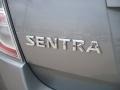 Magnetic Gray - Sentra 2.0 Photo No. 12