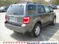 2010 Sterling Grey Metallic Ford Escape XLT 4WD  photo #6