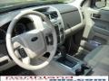 2010 Sterling Grey Metallic Ford Escape XLT 4WD  photo #10