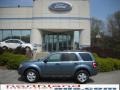 2010 Steel Blue Metallic Ford Escape XLT 4WD  photo #1