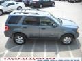 2010 Steel Blue Metallic Ford Escape XLT 4WD  photo #5