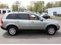 Willow Green Metallic - XC90 3.2 AWD Photo No. 3