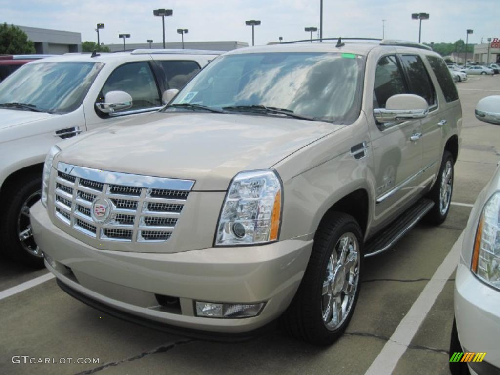 2010 Escalade Luxury - Gold Mist / Ebony photo #1