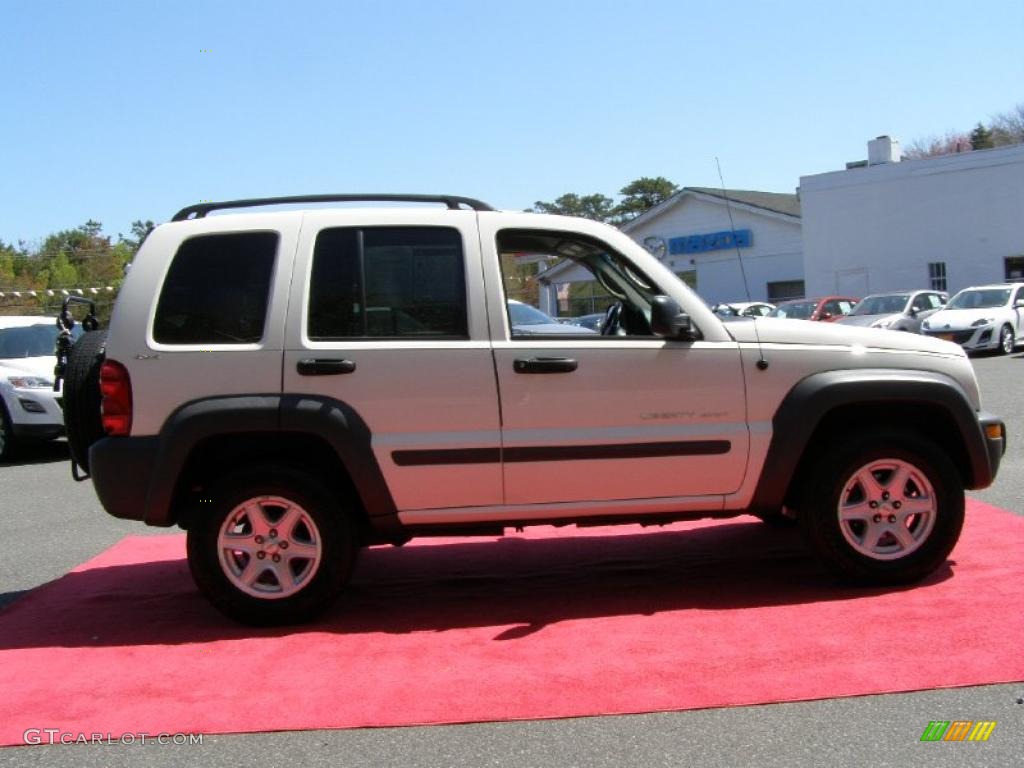 2002 Liberty Sport 4x4 - Stone White / Dark Slate Gray photo #6