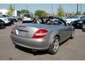 Pewter Metallic - SLK 280 Roadster Photo No. 14