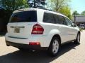 Arctic White - GL 450 4Matic Photo No. 4