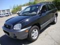 2004 Black Obsidian Hyundai Santa Fe GLS 4WD  photo #2