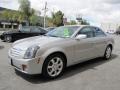 Light Platinum - CTS Sedan Photo No. 3