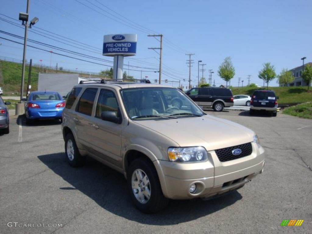 2007 Escape Limited 4WD - Dune Pearl Metallic / Medium/Dark Pebble photo #1