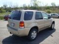 2007 Dune Pearl Metallic Ford Escape Limited 4WD  photo #3