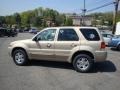 2007 Dune Pearl Metallic Ford Escape Limited 4WD  photo #6