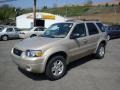 2007 Dune Pearl Metallic Ford Escape Limited 4WD  photo #10