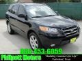 2007 Ebony Black Hyundai Santa Fe Limited  photo #1