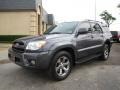 2006 Galactic Gray Mica Toyota 4Runner Limited  photo #3