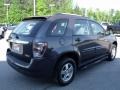 2007 Granite Gray Metallic Chevrolet Equinox LS  photo #5