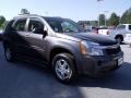 2007 Granite Gray Metallic Chevrolet Equinox LS  photo #7