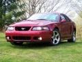 Redfire Metallic 2004 Ford Mustang Cobra Coupe