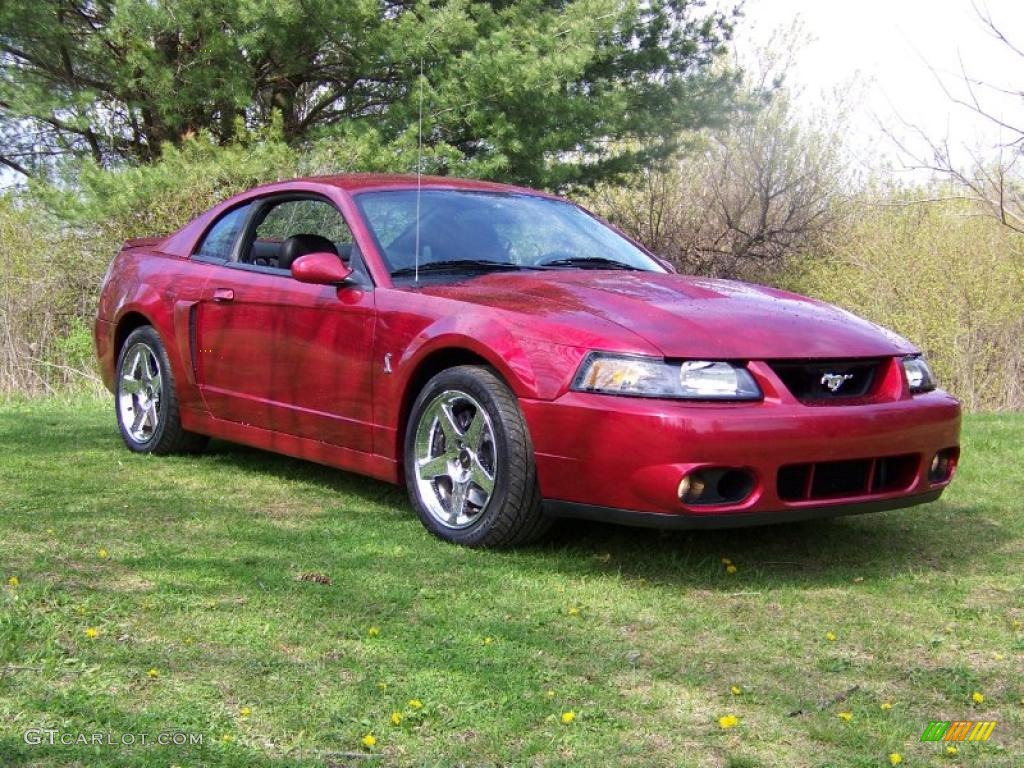 2004 Mustang Cobra Coupe - Redfire Metallic / Dark Charcoal photo #3