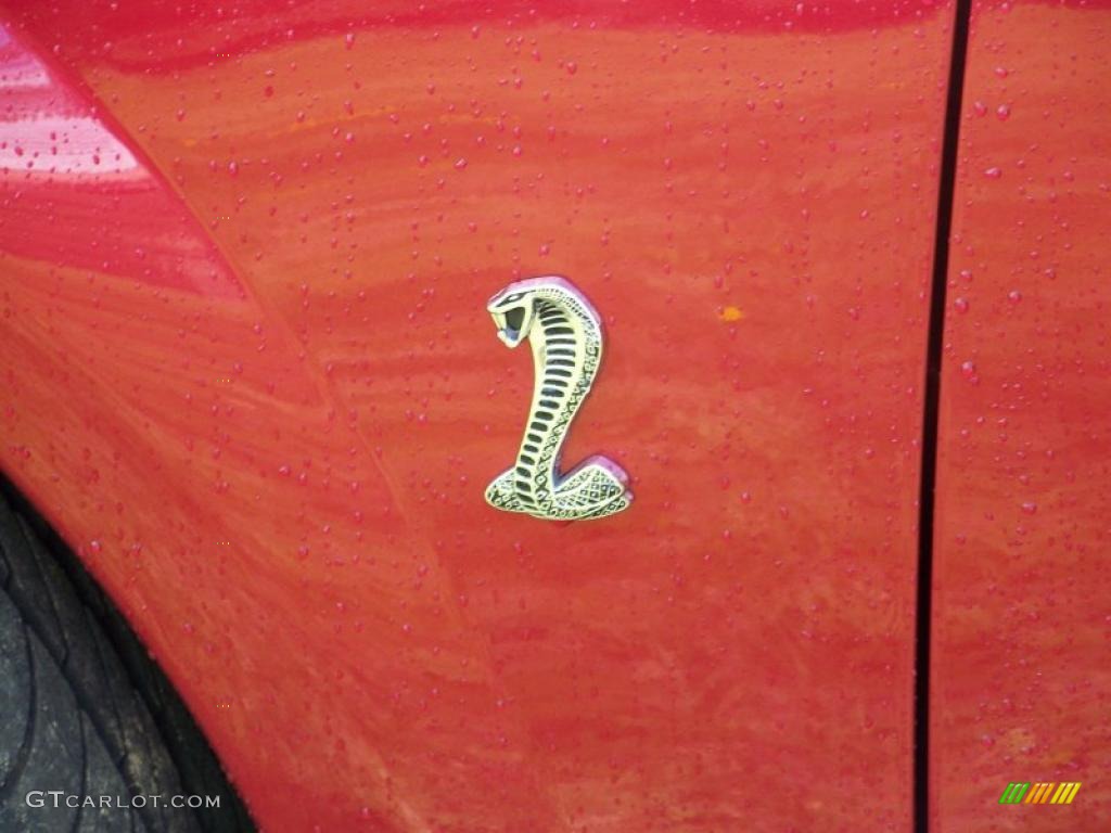 2004 Mustang Cobra Coupe - Redfire Metallic / Dark Charcoal photo #10