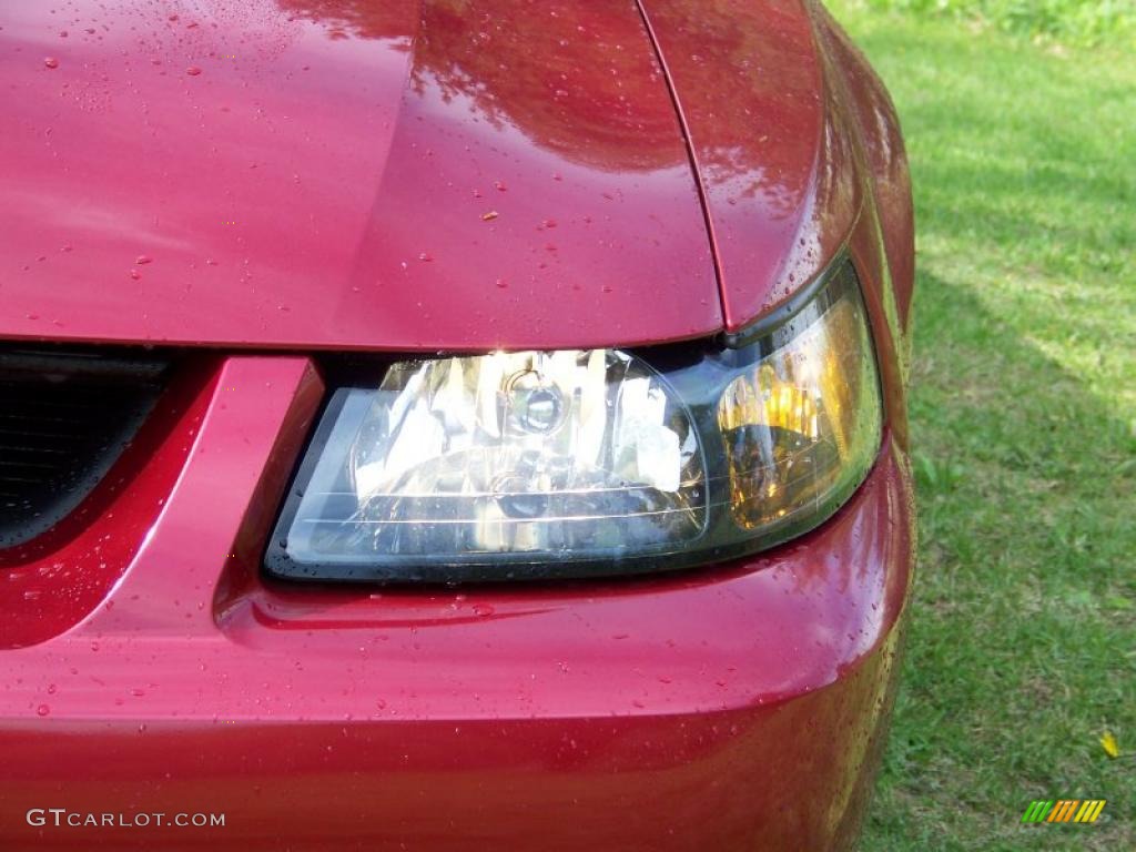 2004 Mustang Cobra Coupe - Redfire Metallic / Dark Charcoal photo #12