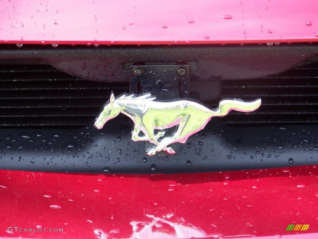 2004 Mustang Cobra Coupe - Redfire Metallic / Dark Charcoal photo #13