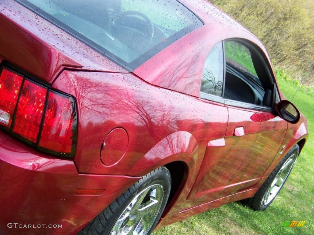 2004 Mustang Cobra Coupe - Redfire Metallic / Dark Charcoal photo #15