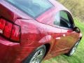 Redfire Metallic - Mustang Cobra Coupe Photo No. 15