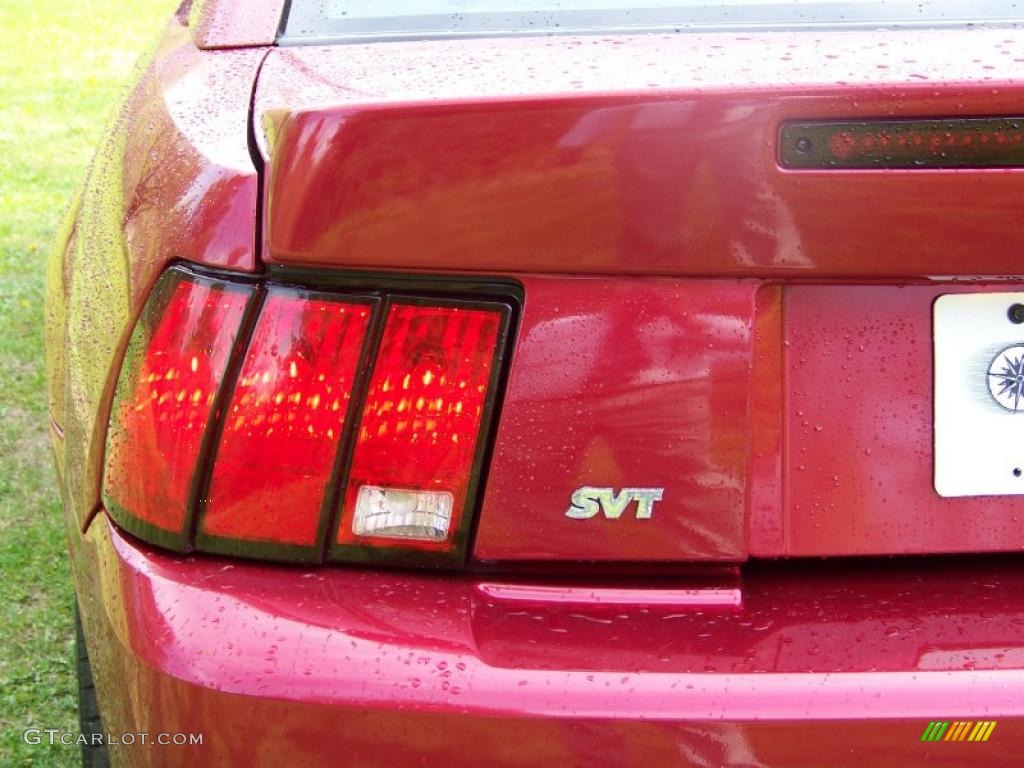 2004 Mustang Cobra Coupe - Redfire Metallic / Dark Charcoal photo #16