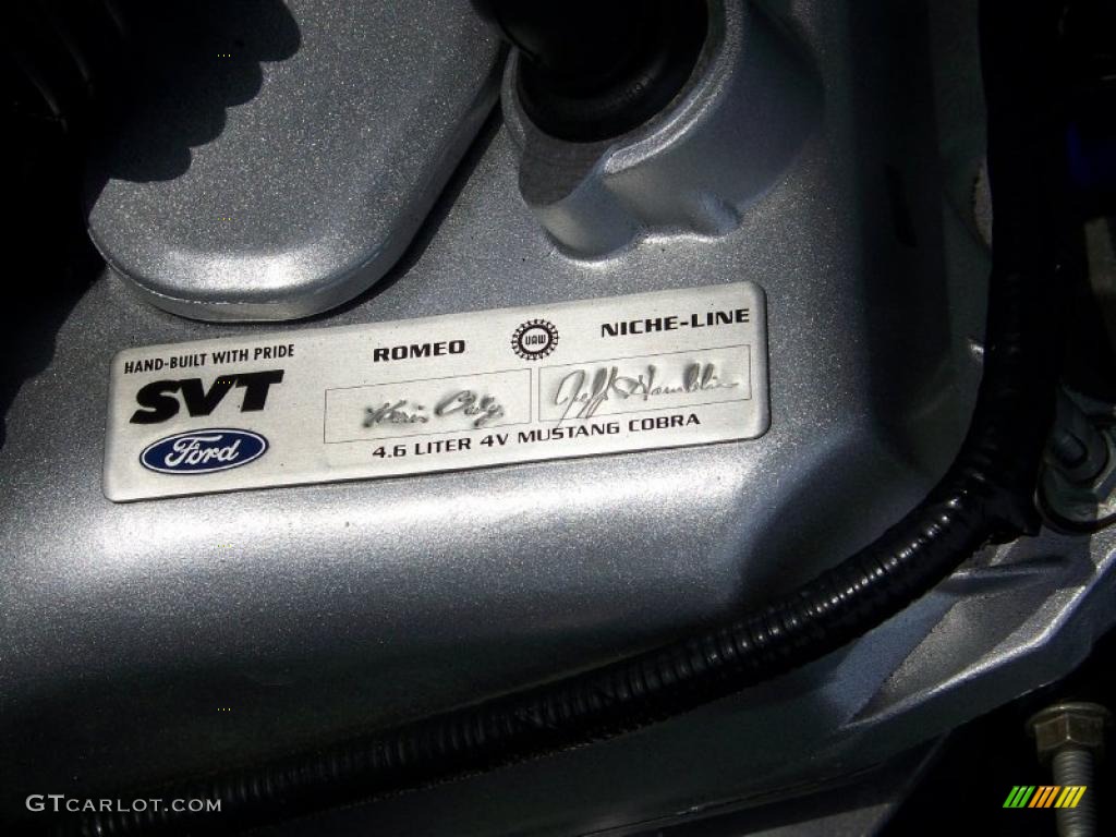 2004 Mustang Cobra Coupe - Redfire Metallic / Dark Charcoal photo #19