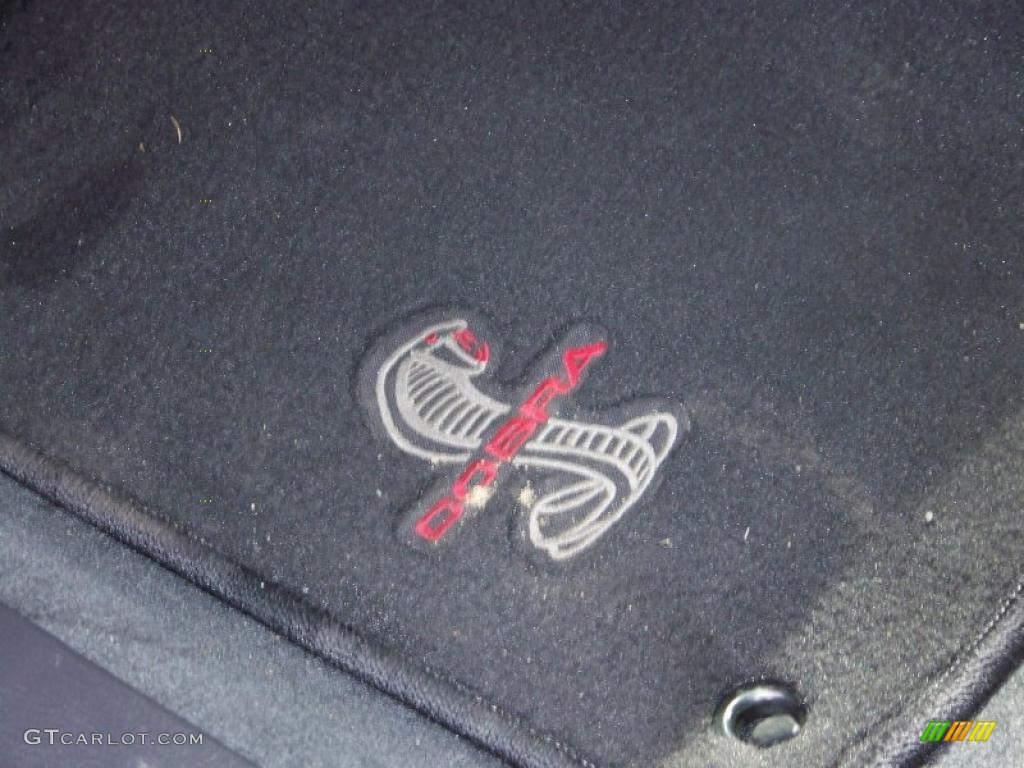 2004 Mustang Cobra Coupe - Redfire Metallic / Dark Charcoal photo #24