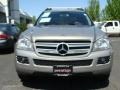 Pewter Metallic - GL 450 Photo No. 2