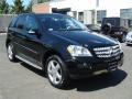 Black - ML 350 4Matic Photo No. 3