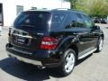 Black - ML 350 4Matic Photo No. 4
