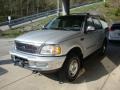 Silver Metallic - Expedition XLT 4x4 Photo No. 5