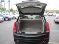 Black Raven - SRX V6 Photo No. 7