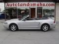 2004 Silver Metallic Ford Mustang V6 Convertible  photo #1