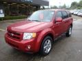 2008 Redfire Metallic Ford Escape Limited 4WD  photo #11