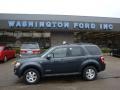 2008 Black Pearl Slate Metallic Ford Escape Limited 4WD  photo #1