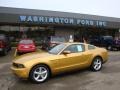 2010 Sunset Gold Metallic Ford Mustang GT Premium Coupe  photo #1