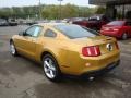 2010 Sunset Gold Metallic Ford Mustang GT Premium Coupe  photo #2