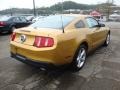 2010 Sunset Gold Metallic Ford Mustang GT Premium Coupe  photo #4