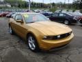 2010 Sunset Gold Metallic Ford Mustang GT Premium Coupe  photo #6