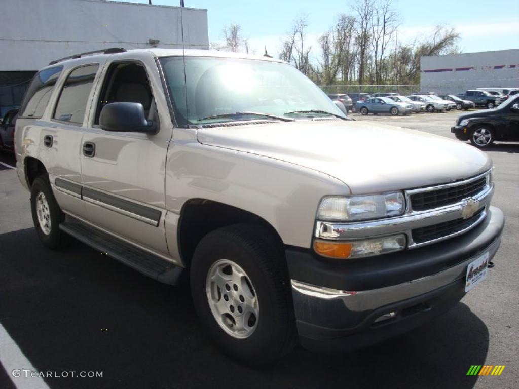 2005 Tahoe LS 4x4 - Silver Birch Metallic / Gray/Dark Charcoal photo #7