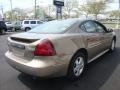 2007 Bronzestone Metallic Pontiac Grand Prix Sedan  photo #6