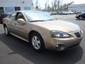 2007 Bronzestone Metallic Pontiac Grand Prix Sedan  photo #7