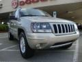 Light Pewter Metallic - Grand Cherokee Laredo 4x4 Photo No. 1