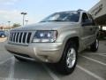 Light Pewter Metallic - Grand Cherokee Laredo 4x4 Photo No. 7